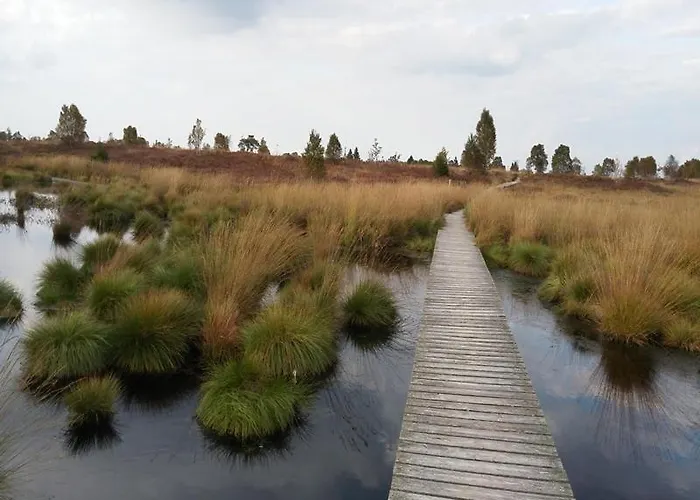 Waldhaus Anne * 尼蒂戈恩