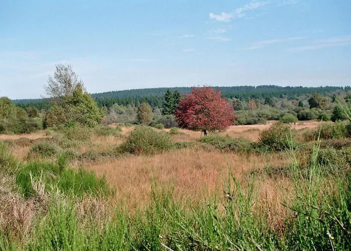 度假居 Waldhaus Anne 尼蒂戈恩